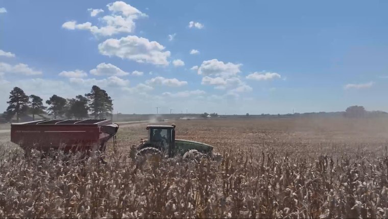 Trump’s Argentina beef import plan will harm U.S. ranchers, industry warns